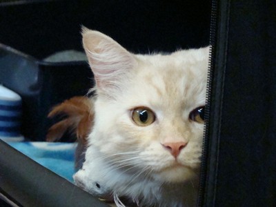 20121021_66 (Expo)